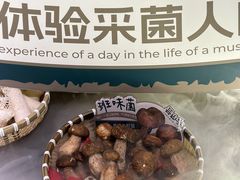 -芸山季·云南山珍菌火锅(人民广场来福士店)