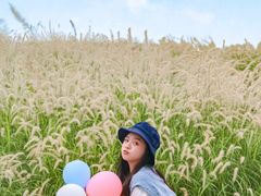 -佛山京华广场MALL