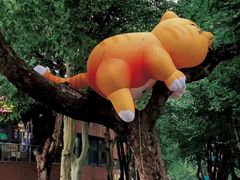 -西安电影制片厂