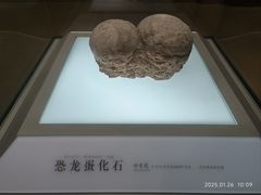 -信阳博物馆