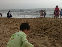 -烁佳海鲜大馅饺子