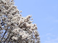 -杭州植物园