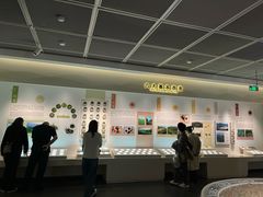 -中国茶叶博物馆(双峰馆区)