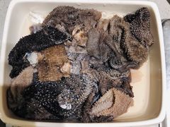 -海底捞火锅(海宁路店)