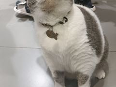 -解忧集市(北京路天河城店)