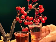 -鸟泉居酒屋·烧鸟·酒馆(百子湾店)