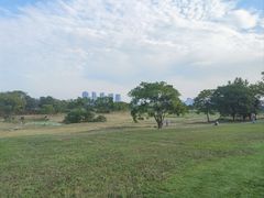 -盘龙城国家考古遗址公园