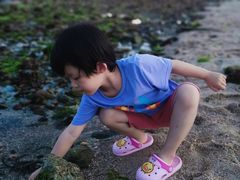 -花海间·即刻露营