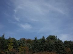 -UNI UNI(环亚凯瑟琳店)