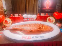 -阿五黄河大鲤鱼(纬三路店)