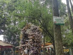 -二荆条·蜀鲜汇城市森林火锅