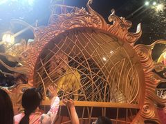 -广州长隆国际大马戏
