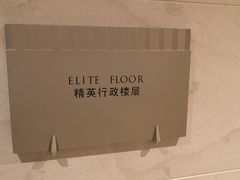 -上海明天广场JW万豪酒店