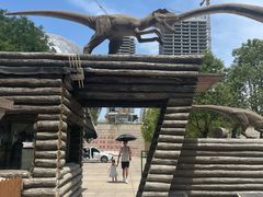 -陕西自然博物馆