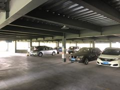 -上海植物园·停车场