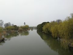 -江滩湿地公园