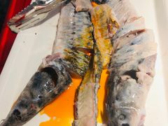中华鲟-蜀滋香鲜鱼美蛙火锅(339店)