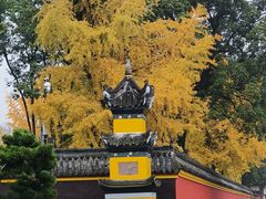 -宝光寺