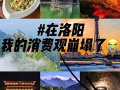 -一记洛阳菜·糖醋小排·水席(十字街店)