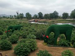 -羊亭河湿地公园