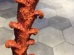 -自黑豆夫·臭豆腐夹馍(四海唐人街店)