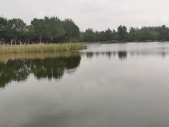 -永定河休闲森林公园