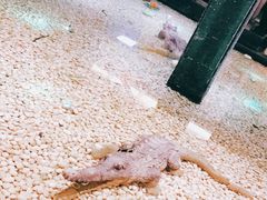 -宝燕海鲜(好爱店)