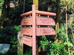 -十八棵（老龙井）御茶园(老龙井店)