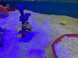 -万达宝贝王(成都锦华店)