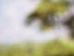 -钟山体育运动公园