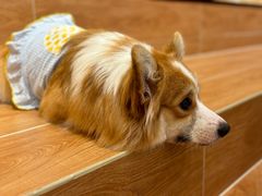-和它·交个朋友·狗咖猫咖(爱琴海店)