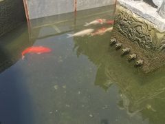 -包公祠