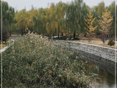 -元大都城垣遗址公园