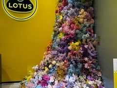 -莲花跑车(国贸商城店)