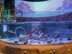 -沈阳海洋探索中心