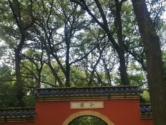 -灵谷景区