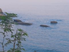 -燕儿岛山公园