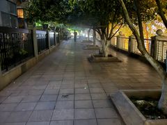 -白沙古井