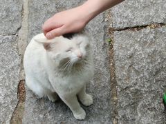 -崂山九水游览区
