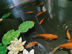 -Love Story爱情故事·养生SPA会所(新侨店)