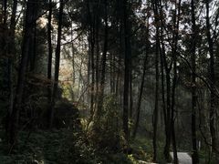 -剑门关风景区