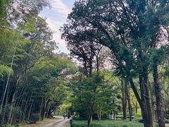 -黄公望隐居地