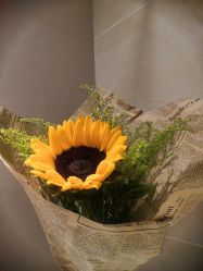 -IN HAIR艺术+造型