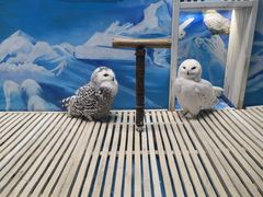 -成都浩海立方海洋公园