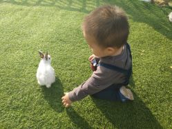 -萌宠亲子动物乐园(槐房万达店)