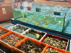 -虎门不夜天海鲜市场