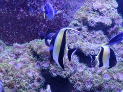 -成都浩海立方海洋公园