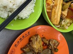 -阳光苑