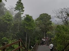 -野象谷景区