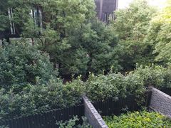 -上海崇明金茂凯悦酒店